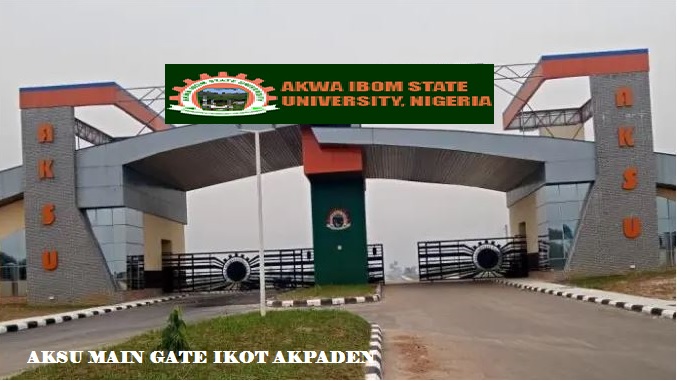 Courses offered in AKSU