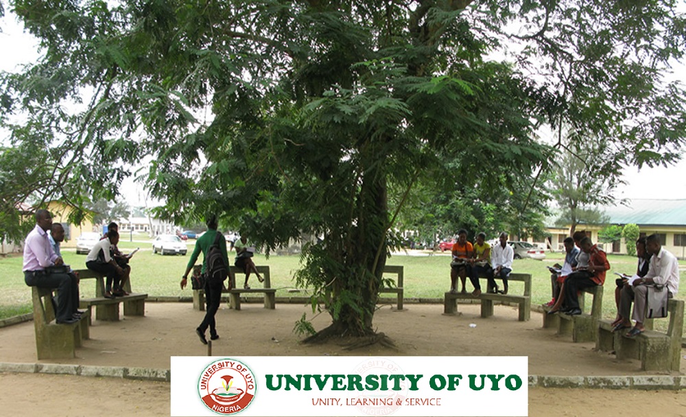 COURSES OFFERED IN UNIUYO