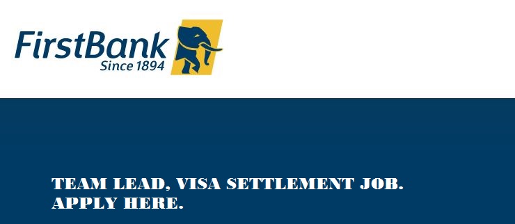 Team Lead, Visa Settlement job