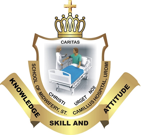 College Of Nursing-Sciences St-Camillus