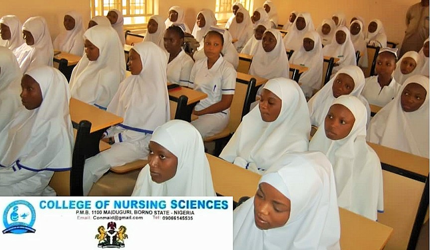 College Of Nursing Sciences