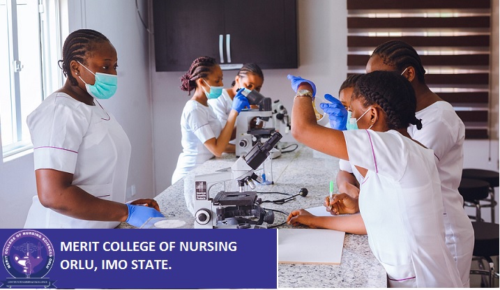 Merit College of Nursing