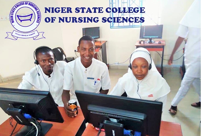 Niger State College Of